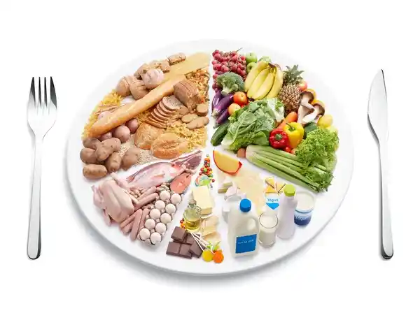 Plato alimenticio saludable, mostrar gráficamente la relación entre grupos alimenticios y bienestar.