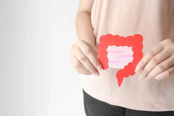 Imagen que explica la importancia de saber cómo recuperar la microbiota intestinal