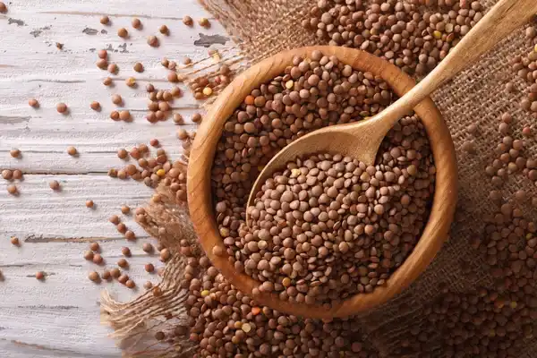 Lentejas fuente de proteínas y grasas saludables